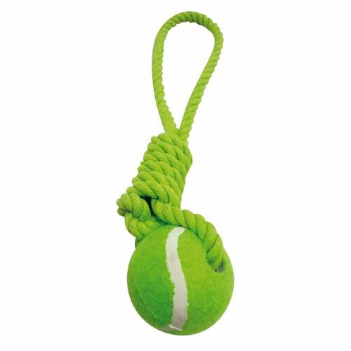 Jeu pour chien avec corde et balle de tennis