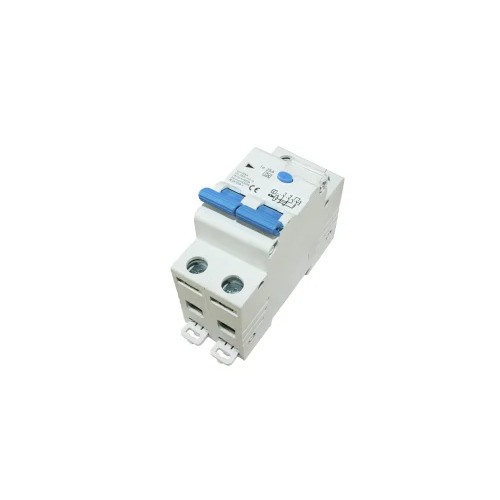DISJONCTEUR DIFFERENTIEL BIPOLAIRE 25A 30 MA 2 PHASES PROTEGEES DISJONCTEUR DIFFERENTIEL BIPOLAIRE 25A 30 MA 2 PHASES PROTEGEES