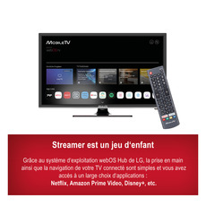 Miniature Téléviseur Smart Silverline HD DVD webOS Hub 55cm/22 pouces MobileTV N° 2