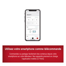 Miniature Téléviseur Smart Silverline HD DVD webOS Hub 55cm/22 pouces MobileTV N° 6