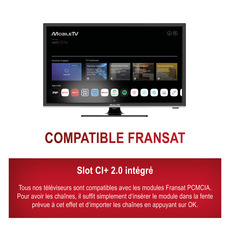Miniature Téléviseur Smart Silverline HD DVD webOS Hub 55cm/22 pouces MobileTV + BARRE DE SON OFFERTE N° 8