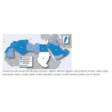 Miniature Cartographie Moyen Orient et Afrique du Nord GPS - GARMIN N° 1 Miniature Cartographie Moyen Orient et Afrique du Nord GPS - GARMIN N° 1