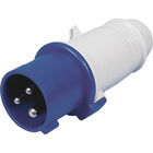 Fiche P17 mâle 16 A - HABA