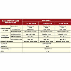 Miniature Power service gold 30 - NDS N° 1