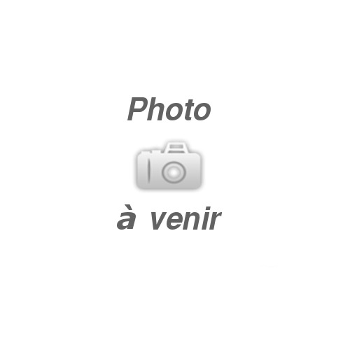 1 FEU ANTI BROUILLARD ROUGE SN 12V 21 WATTS AVEC AMPOULE