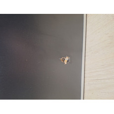 Miniature ATTENTION Produit Reconditionné TABLE VALISE AVEC 2 BANCS PICKNICK - CAMP 4 N° 6