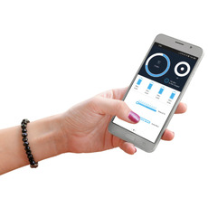 Miniature Batterie Lithium LIFEPO4 100 AH - 1280 WH - CARBEST - N° 3