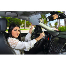 Miniature Extension Pare-soleil - CARBEST - N° 1